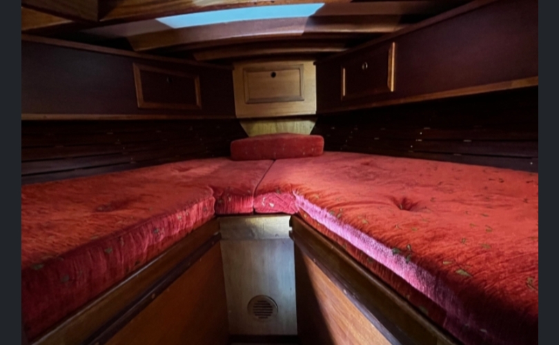 Scylla SuurScylla-kuva-6